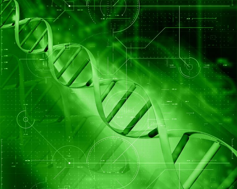 analisis cannabinoides y terpenos