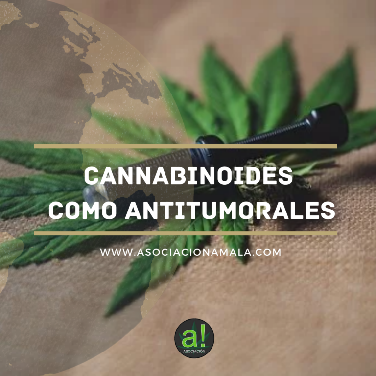 Cannabinoides como antitumorales