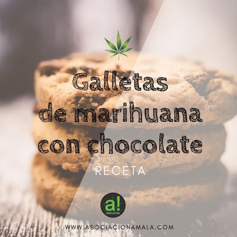 galletas de marihuana con chocolate