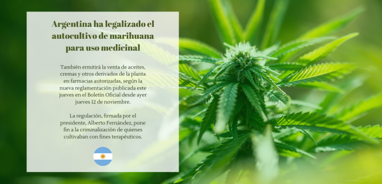 Argentina ha legalizado el autocultivo de marihuana para uso medicinal