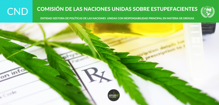 La Onu Reconoce Oficialmente Las Propiedades Medicinales Del Cannabis Asociación Amala De 3506