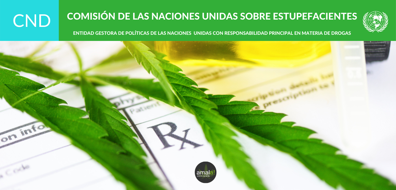 La ONU @cnd__unodc reconoce oficialmente las propiedades medicinales del cannabis