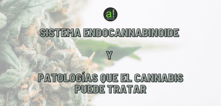 Sistema Endocannabinoide y patologías que el cannabis puede tratar