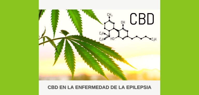 CBD en la enfermedad de la Epilepsia