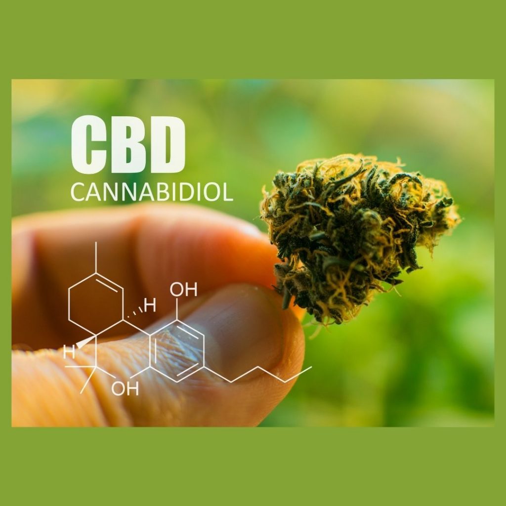 Beneficios Del CBD - Asociación Amala De Cannabis-