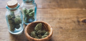 dosificacion flor cannabis