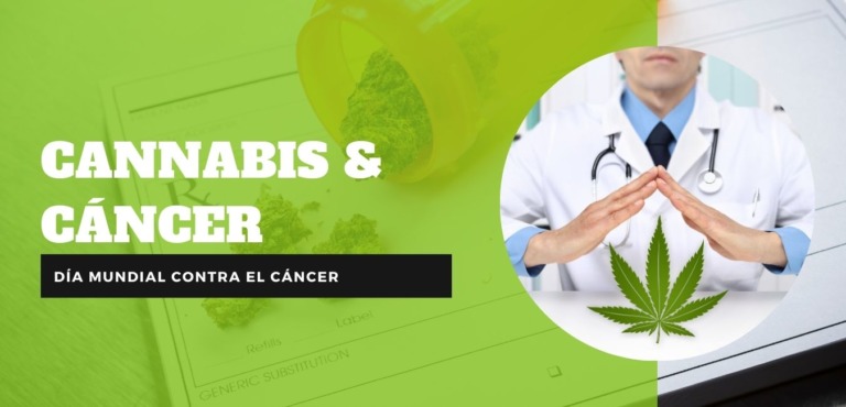 Asociación Amala Cannabis medicinal