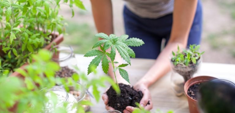 Beneficios del cannabis en la mujer