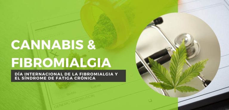 cannabis y fibromialgia