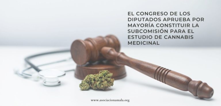 El congreso de los diputados aprueba por mayoría constituir la subcomisión para el estudio de Cannabis Medicinal