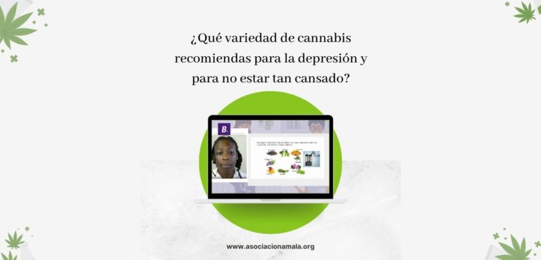 Qué variedad de cannabis recomiendas para la depresión y para no estar tan cansado