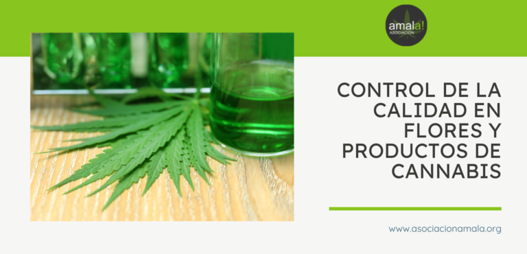 Control de la calidad en flores y productos de cannabis