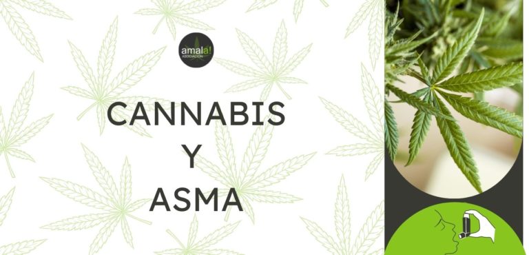 cannabis en el tratamiento del asma