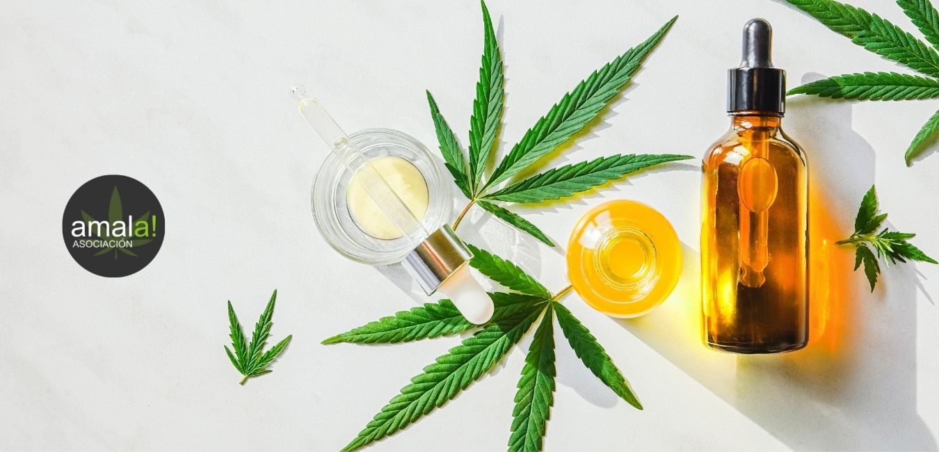 Receta de tintura de cannabis con glicerina de grado farmacéutico Asociación Amala de cannabis