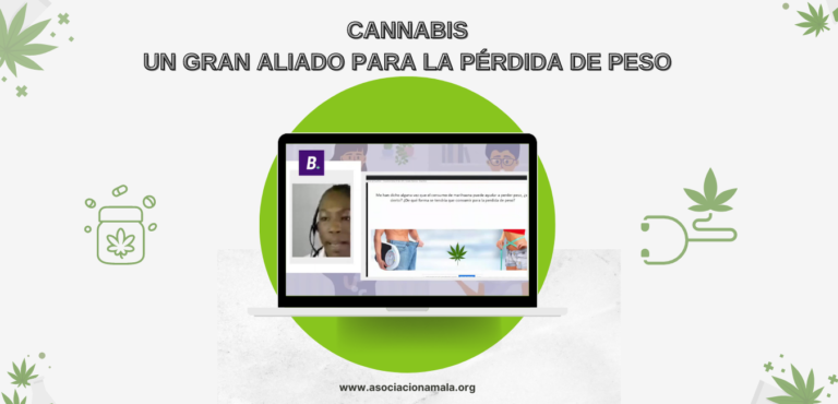 Cannabis un gran aliado para la pérdida de peso