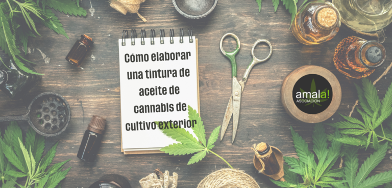 Cómo elaborar una tintura de aceite de cannabis de cultivo exterior