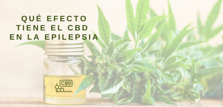 Qué efecto tiene el Cannabidiol en personas con Epilepsia