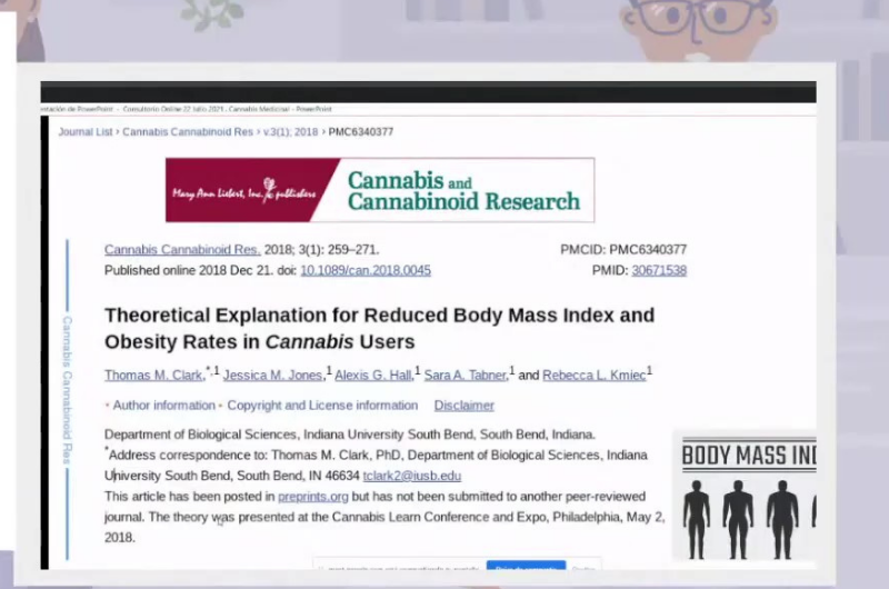 estudio como el cosnumo cannabis en usuarios suelen tener menos masa corporal