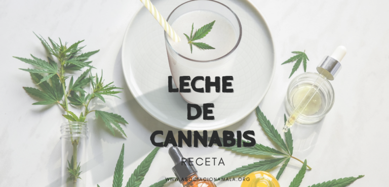 receta leche de cannabis