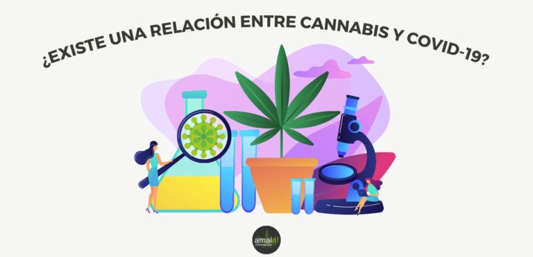 ¿Existe una relación entre cannabis y Covid-19?