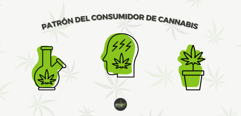 patron del consumidor de cannabis