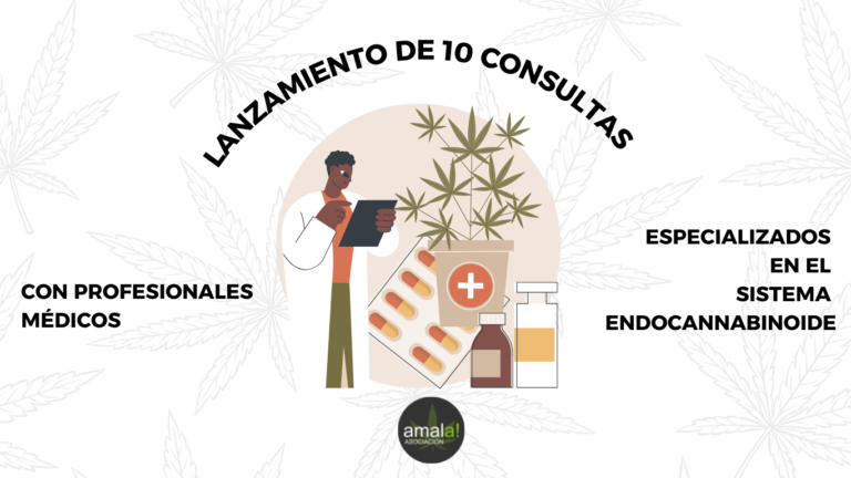 Lanzamiento de 10 consultas con profesionales médicos especializados en el Sistema Endocannabinoide