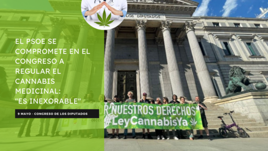 El PSOE se compromete en el Congreso a regular el cannabis medicinal