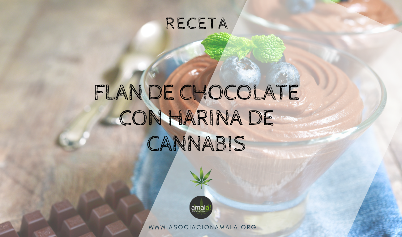 Receta Flan Chocolate con harina de cannabis