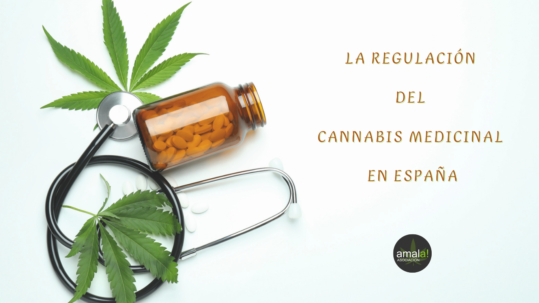 La Regulación del Cannabis Medicinal en España