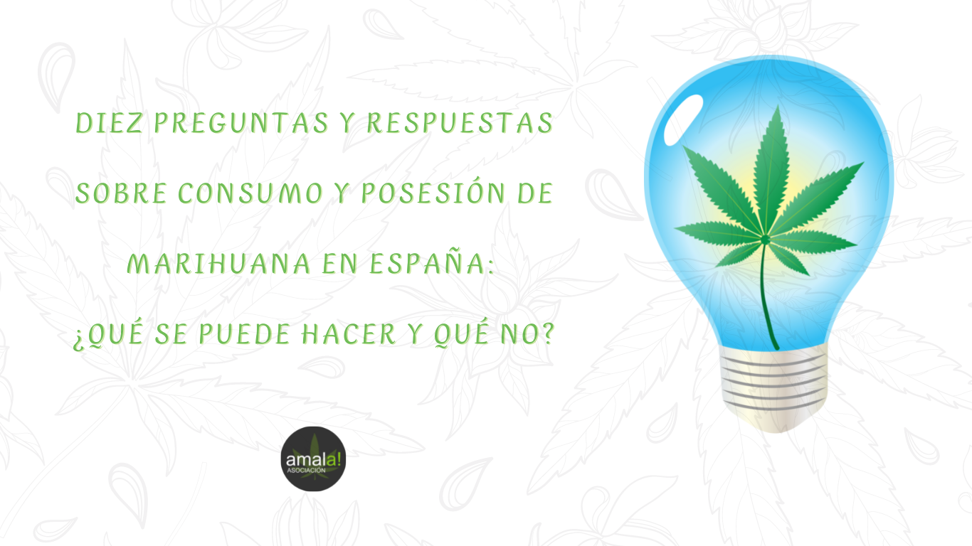 Diez preguntas y respuestas sobre consumo y posesión de marihuana en España ¿qué se puede hacer y qué no
