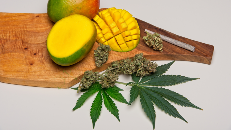 CANNABIS Y MANGO: UNA SINERGIA PERFECTA