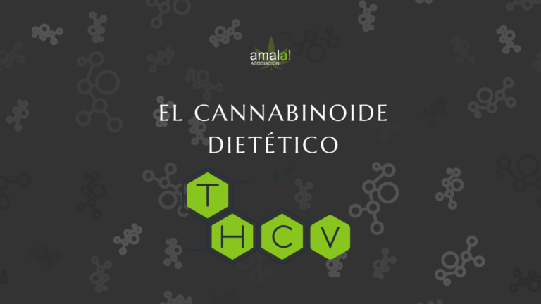 THCV EL CANNABINOIDE DIETÉTICO