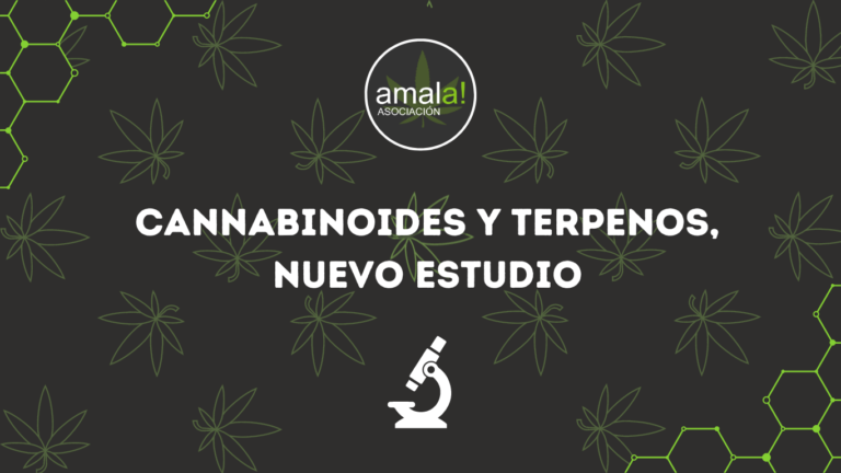 Cannabinoides y Terpenos