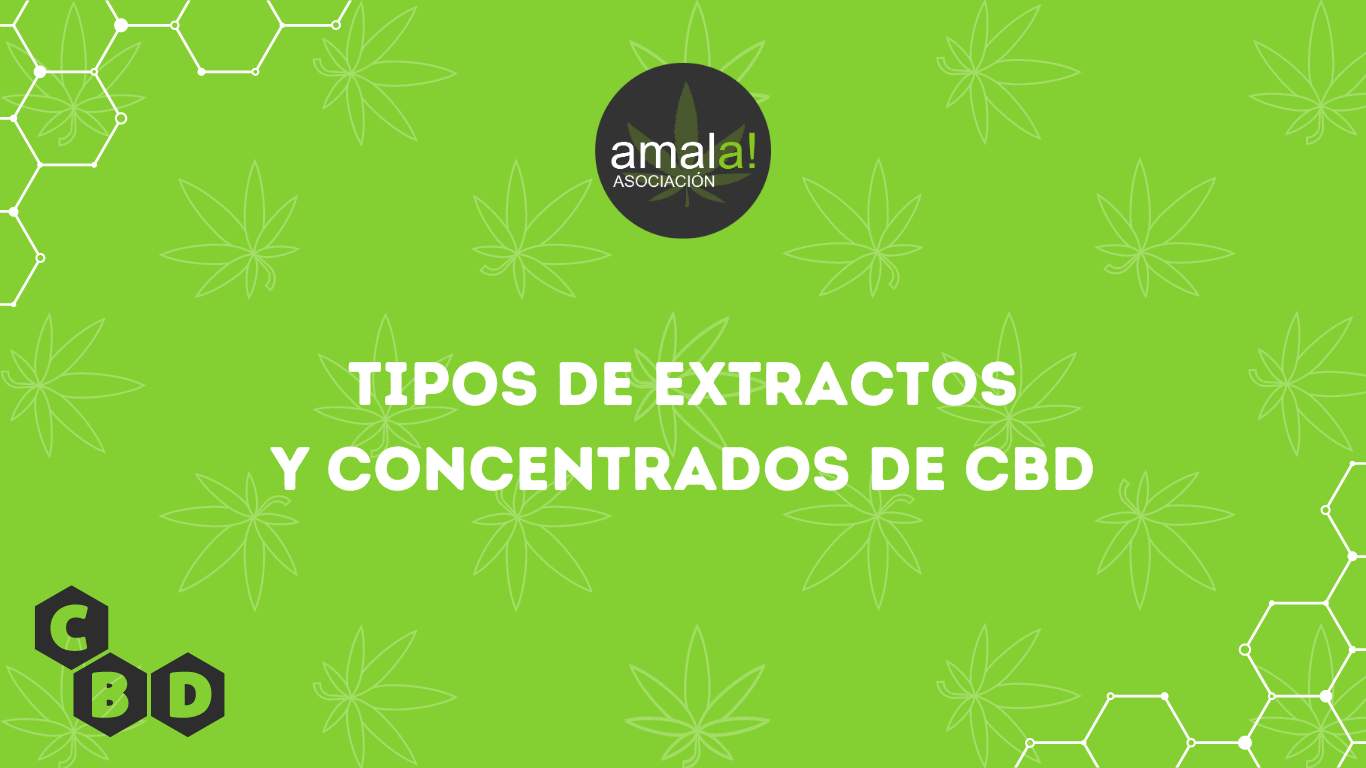 Extractos y Concentrados de CBD