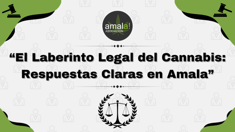 “El Laberinto Legal del Cannabis: Respuestas Claras en Amala”